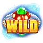 Wild